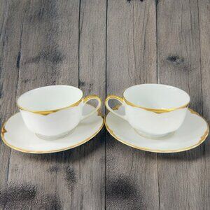 Hutschenreuther Selb Porcelain Blenheim Cup Saucer Pasco Bavaria Germany Set 2